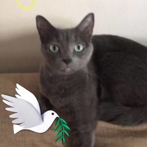 Meet your Posher, Cynthia